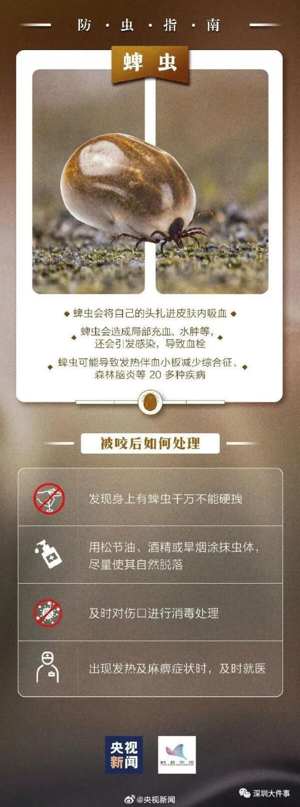 写一写自己观察过的小虫注意展开想象融入自己的感受(自己观察过的小虫)