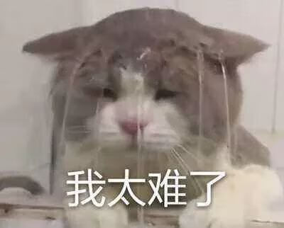 315查询网(315官方投诉平台)