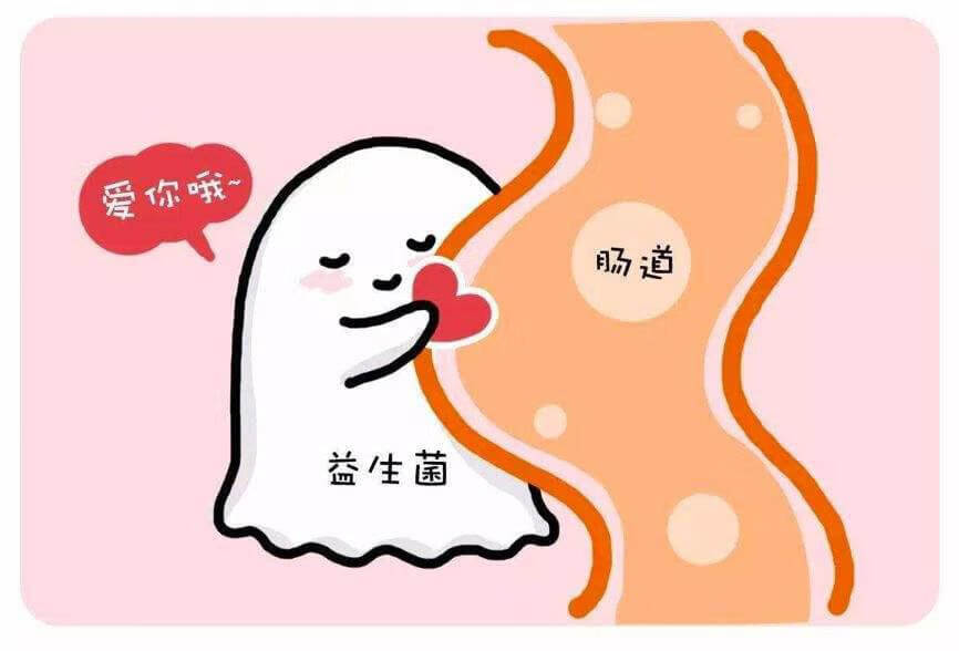多美滋孕妇奶粉好不好