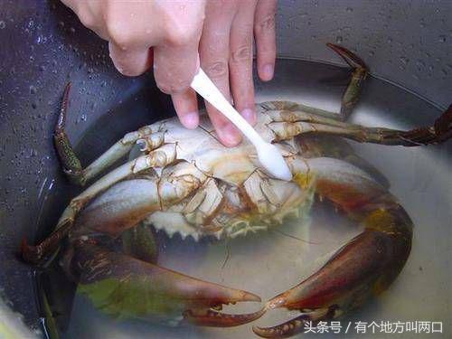 螃蟹怎么清洗与做法(怎样清洗螃蟹的方法视频教程)