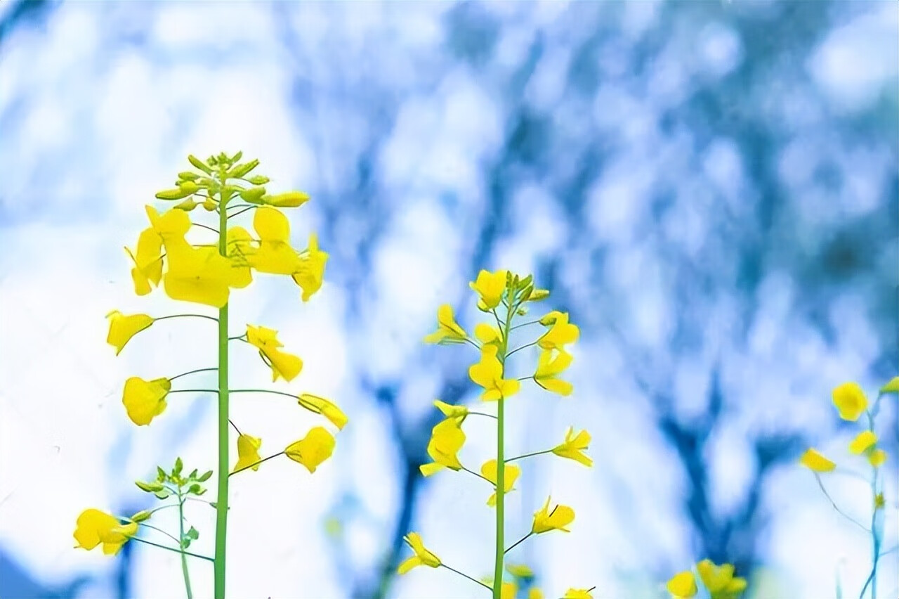 怎样分手才能分得彻底(我想分手怎么开口)