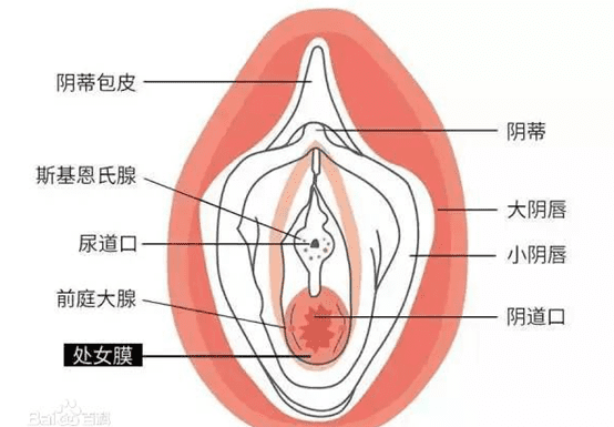 处女膜修复术(处修手术后会很难进入吗)