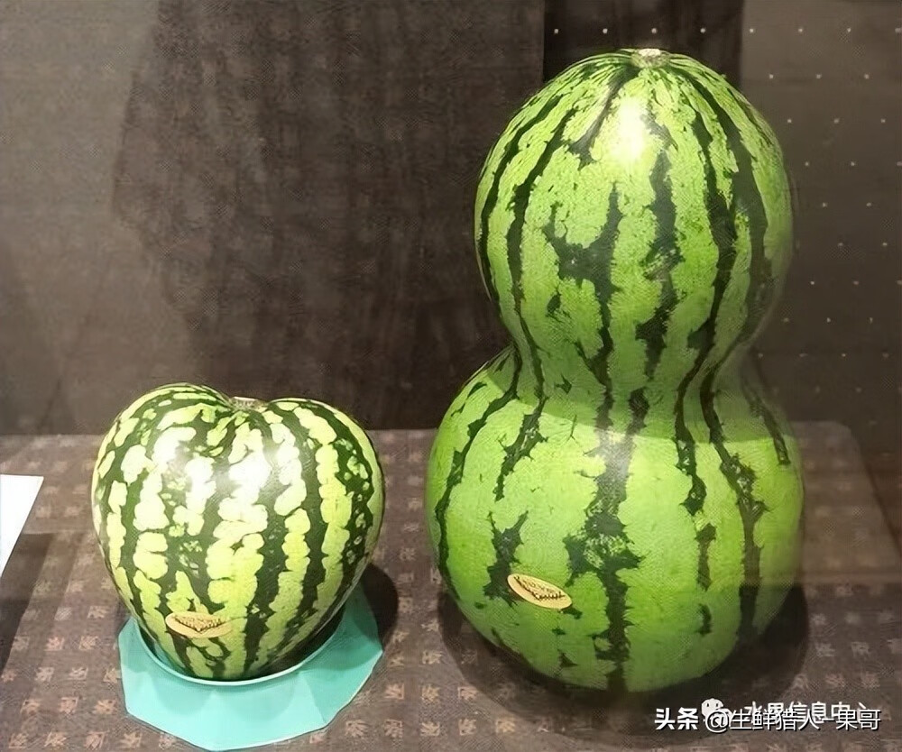 果(果蓏)