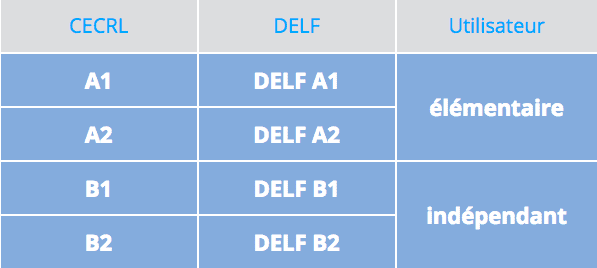 法语等级考试DELF(法语delf可以跳级考吗)