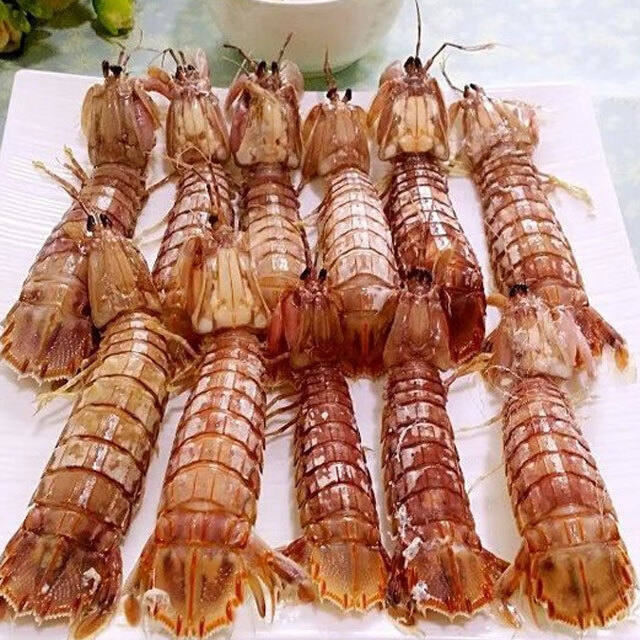 虾爬子是什么意思(虾爬子是皮皮虾吗)