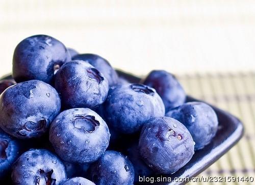 蓝莓的营养价值及功效与作用百科(蓝莓的营养价值和好处)