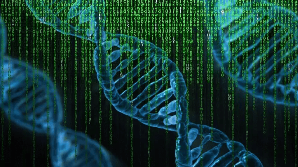 生物学父亲是什么意思(生物学父亲指的什么意思)