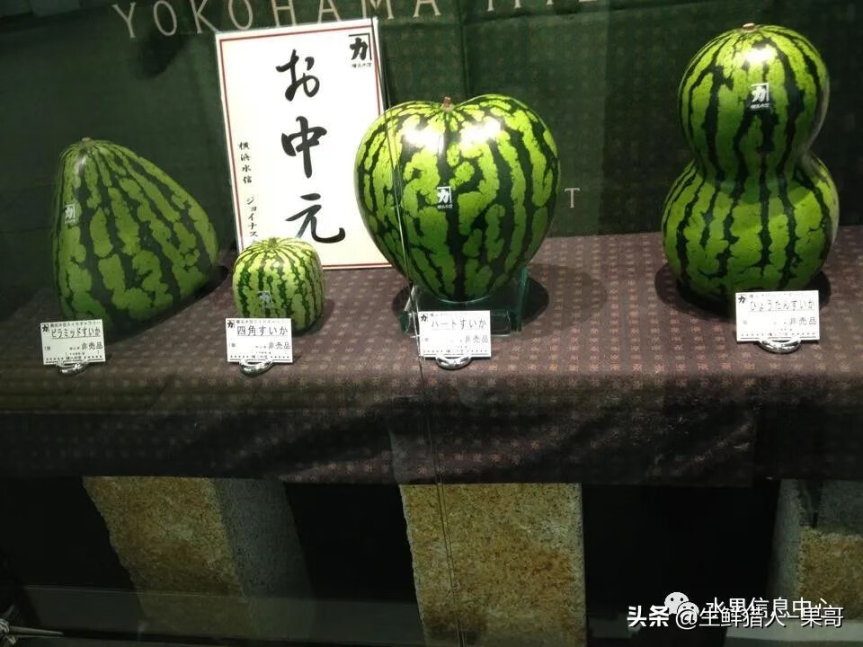 果(果蓏)