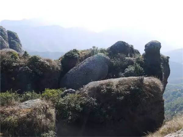 方山正门是哪个门(大门对山怎么化解)