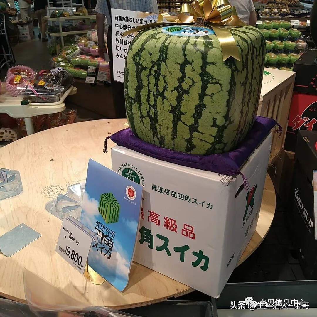 果(果蓏)