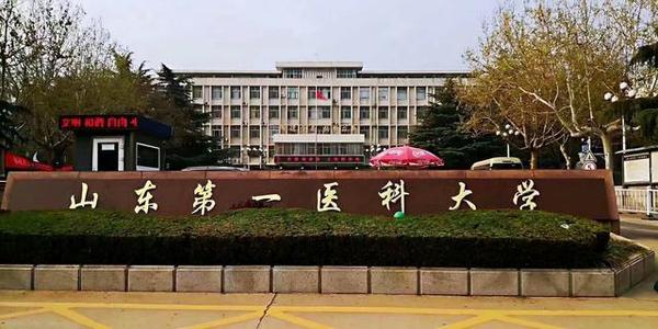 山东第一医科大学(山东第一医科大学算什么档次)