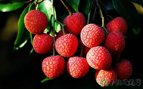 孕妇吃荔枝好吗?(孕妇荔枝可以吃吗)