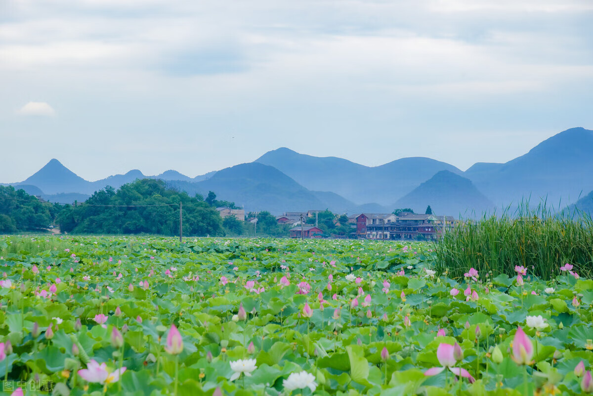 学生旅游推荐(学生暑假旅游推荐)