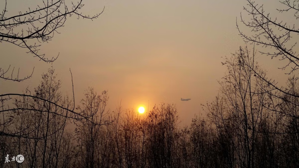 龙眼是风水宝地吗(真龙吐珠风水宝地)