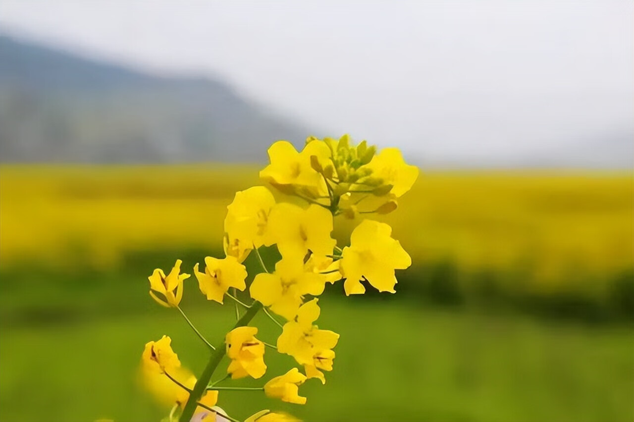 怎样分手才能分得彻底(我想分手怎么开口)