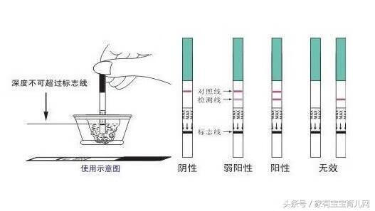 排卵期的症状和表现都有哪些(排卵期是怎样的症状)