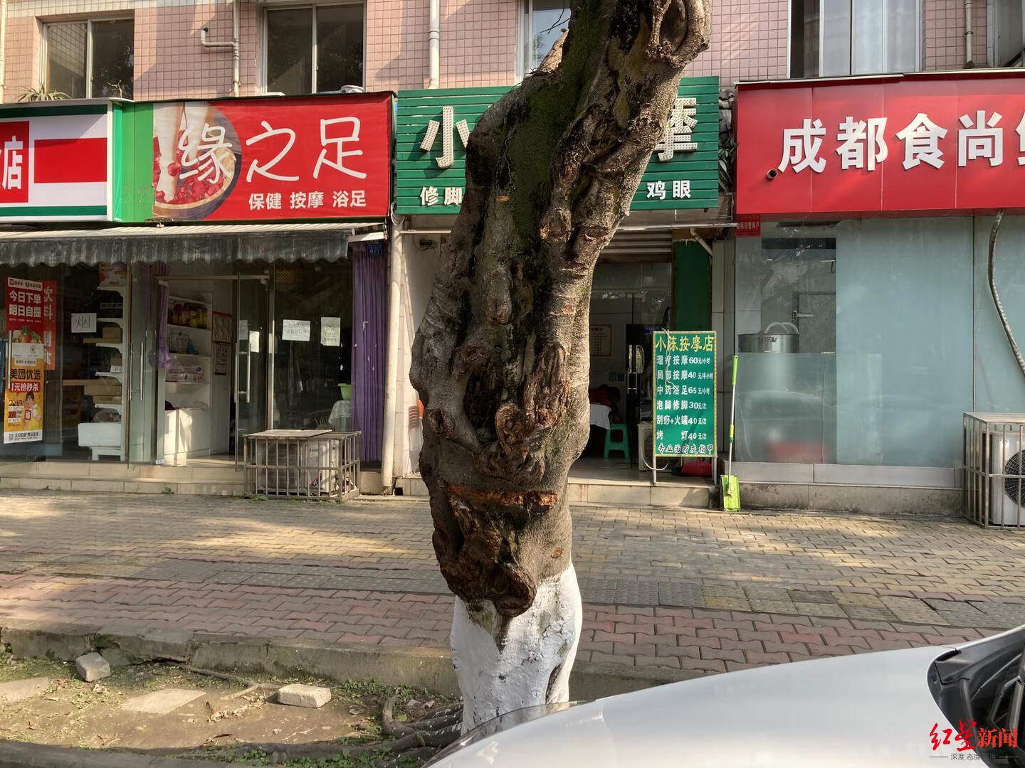 门面房前有棵树怎么破风水(一棵树正对商铺门中间怎么破)