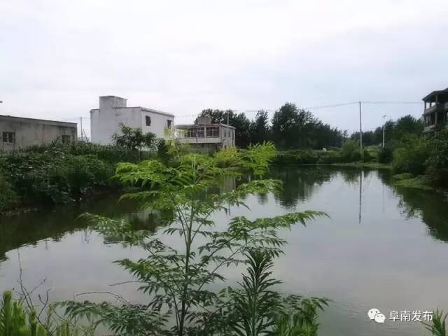 阜南王化风水(阜南韩泽水)