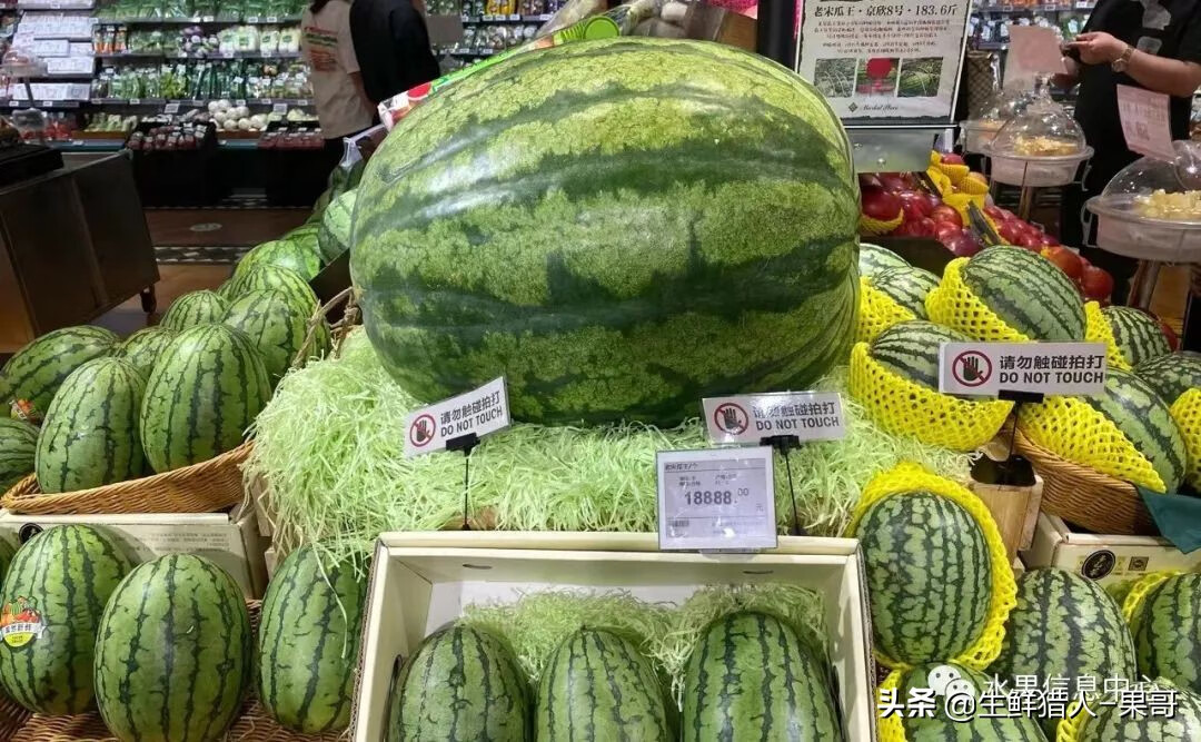 果(果蓏)