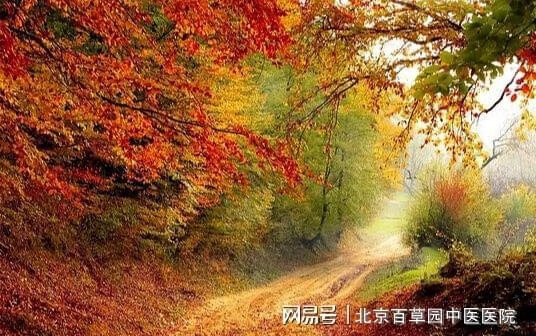 健康养生常识(养生健康小妙招)