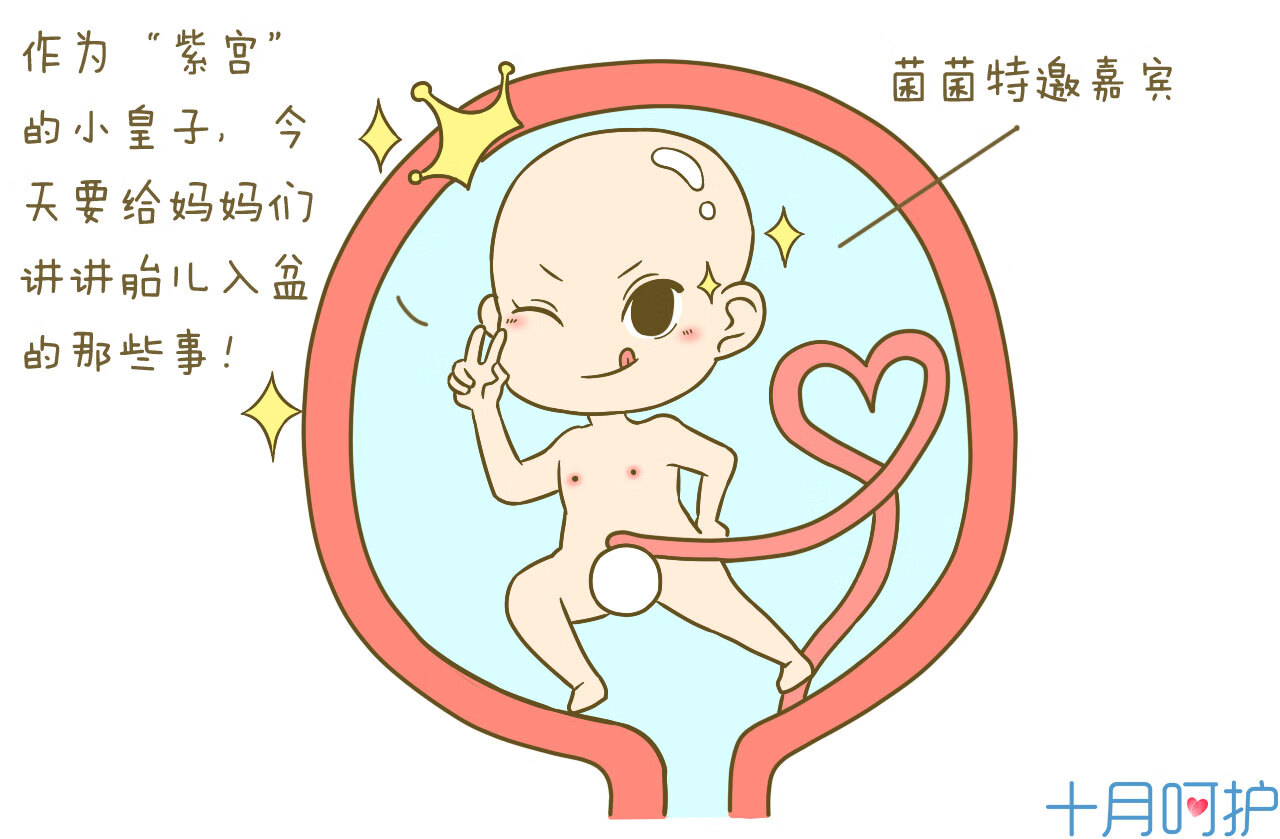 一般入盆后多久会生