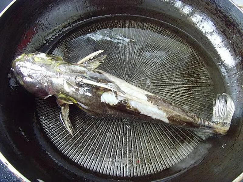 嘎鱼 营养价值(嘎鱼的营养价值高吗)