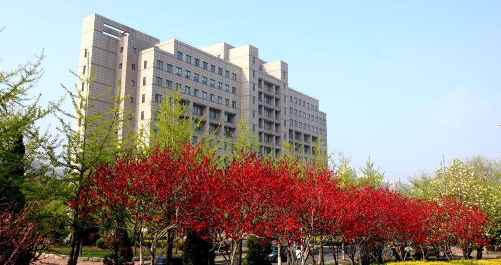 东北财经大学研究生院地址(东北财经大学考研科目)