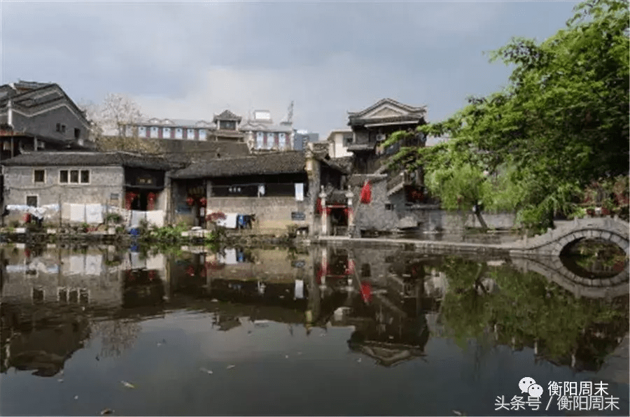 荷花地风水宝地(开莲花的风水宝地)