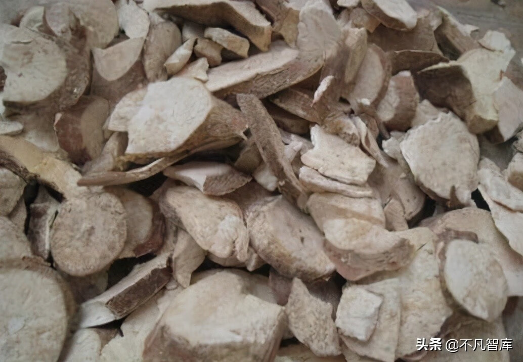 木薯价格是多少(2022鲜木薯收购价格)