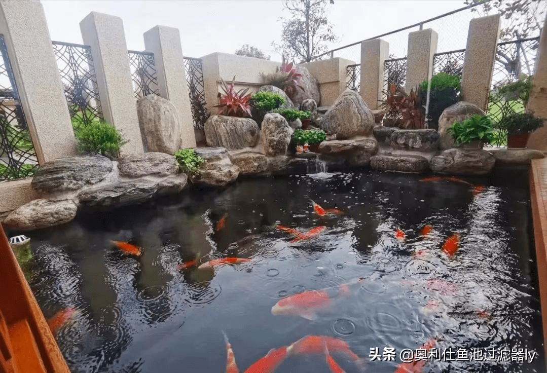 農家院建魚池的風水(農村院裡建魚池好不好)