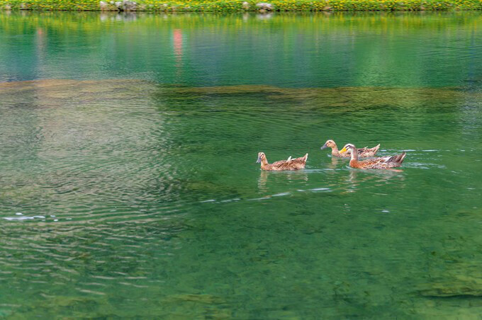 广西百色靖西风水宝地(广西风水宝地大全)