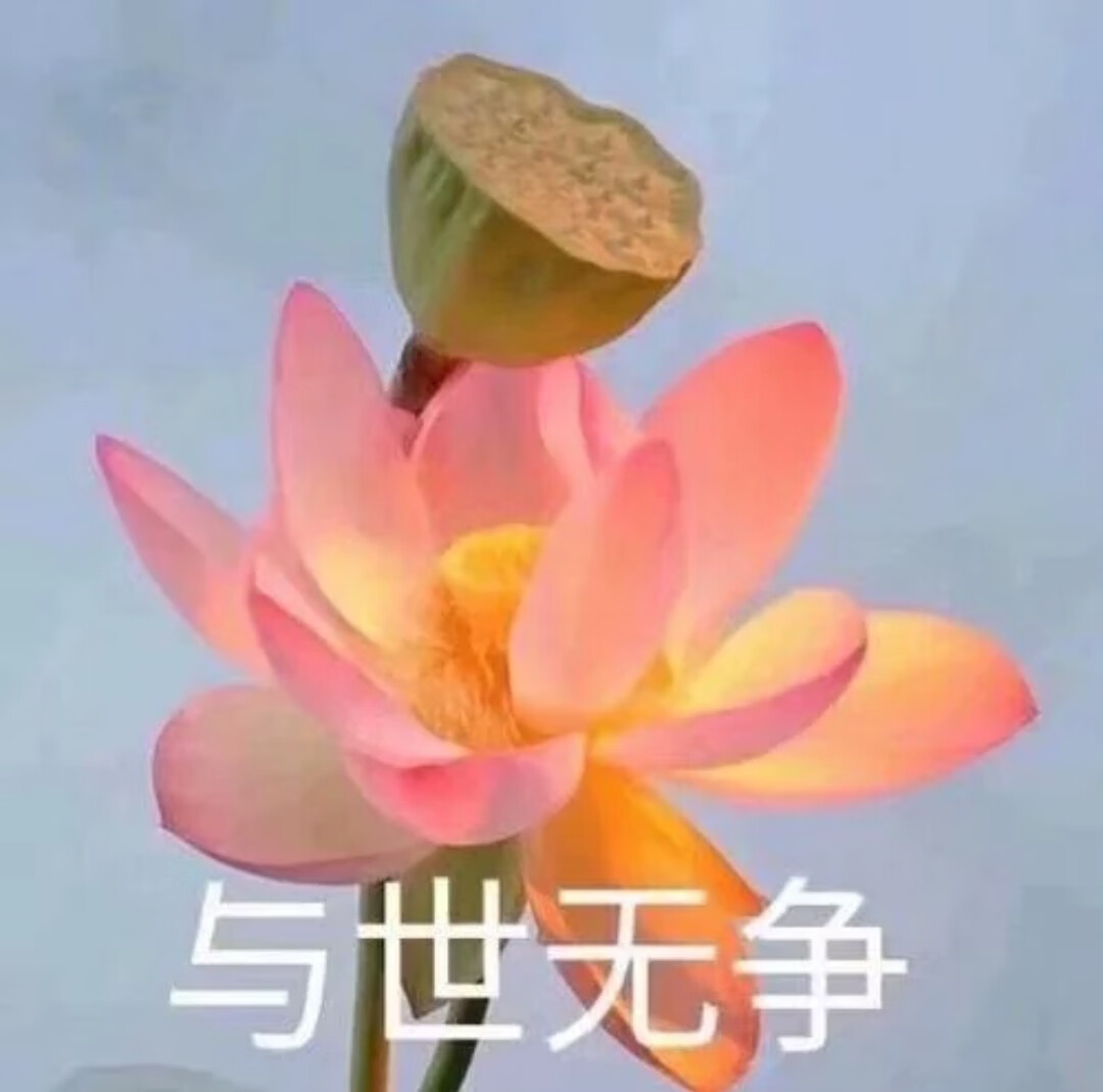 莲花头像 心如止水图片