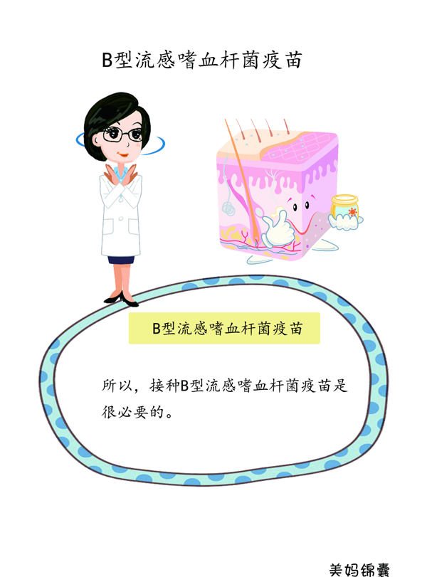 疫苗hib是什么意思(hib免疫疫苗)