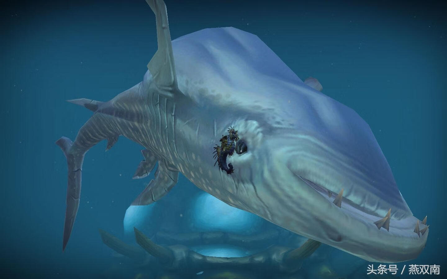 魔兽世界多少大(魔兽世界一共多少g)-百科学社