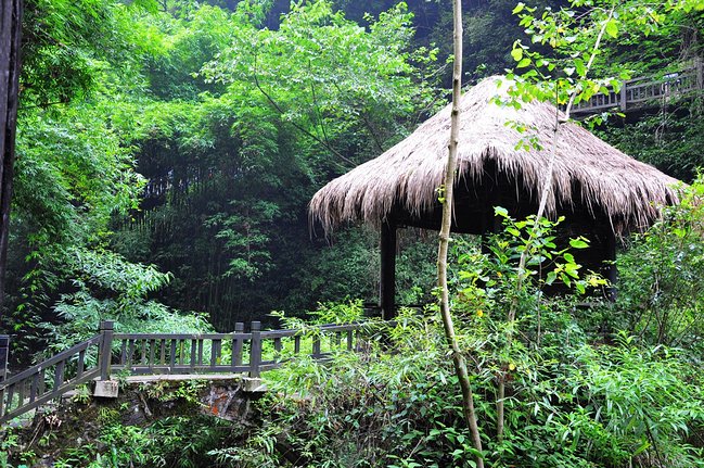 坐西向東,酉山卯向房宅