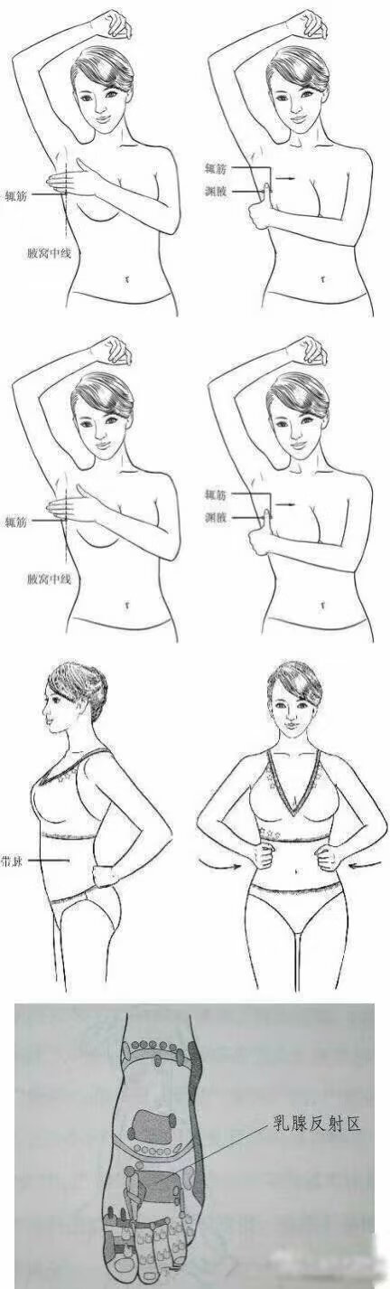 乳房保养手法(乳房保养的手法与效果)