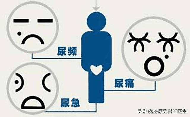 什么叫前列腺炎图片(前列腺在什么位置)