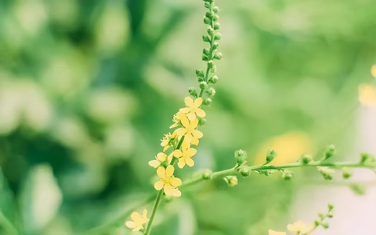 怎样分手才能分得彻底(我想分手怎么开口)