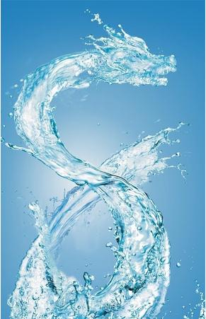 水龙风水宝地(龙凤呈祥风水宝地)