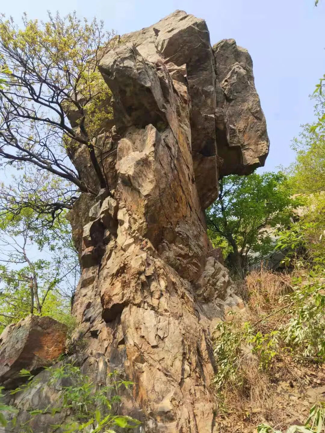 上山龙风水宝地(九龙缠顶风水宝地)