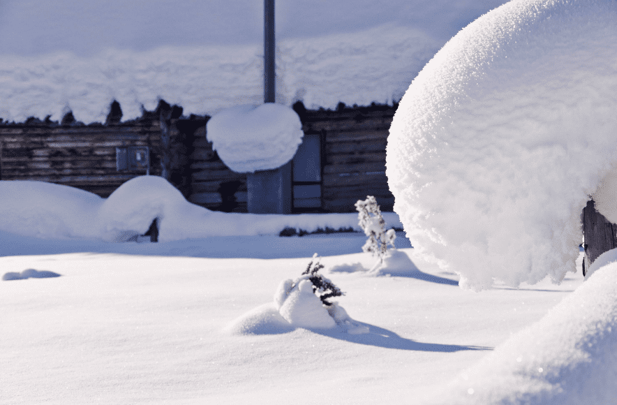 写写雪的古诗(写雪的古诗名句)