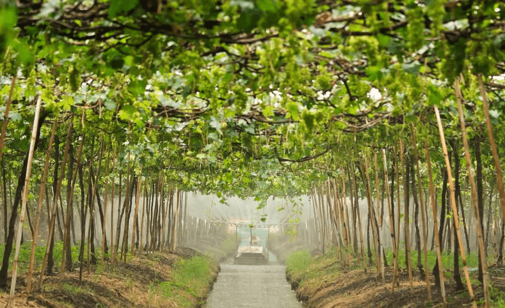 春风水泵漏水(春风发动机漏油)