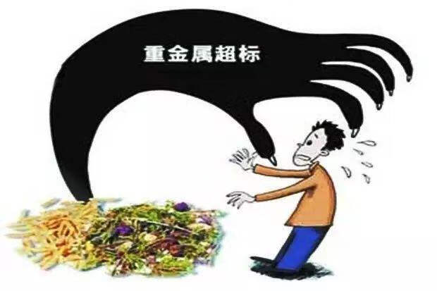 冬虫夏草