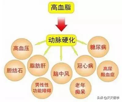 血脂异常什么意思(血脂异常是什么意思)