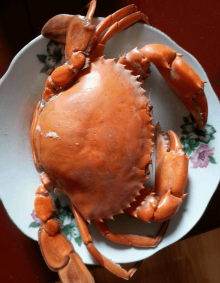 怎样做螃蟹?(家庭做螃蟹的简单方法)