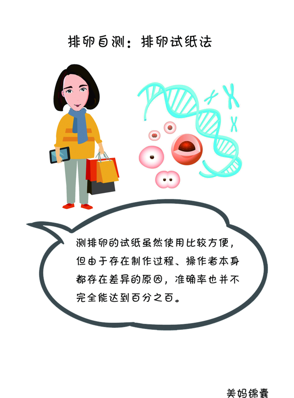 排卵试纸怎么用最准确(排卵试纸完整一个月图解)