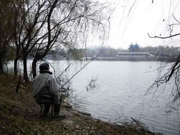 冬季钓鱼技巧全攻略(冬季钓鱼的技巧和方法)