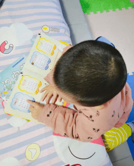 多美滋奶粉价格1段(多美滋1段奶粉价格表)
