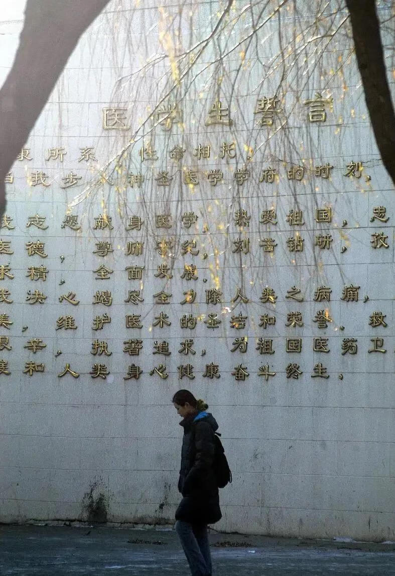 广东医学院研究生学院(广东医科大学研究生院在哪)