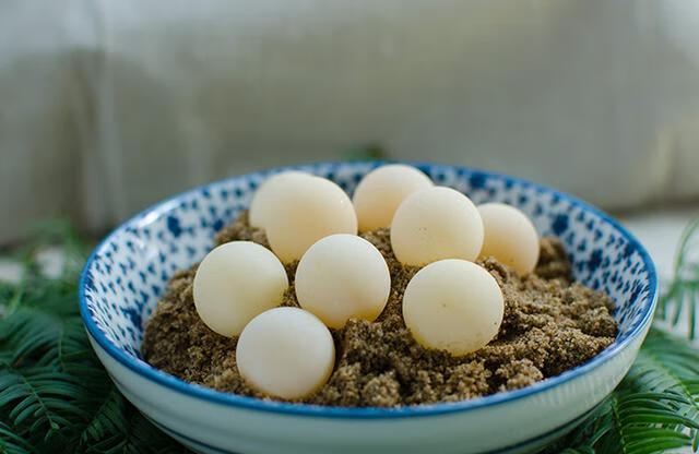 甲鱼蛋什么样子(甲鱼蛋什么人不适合食用)